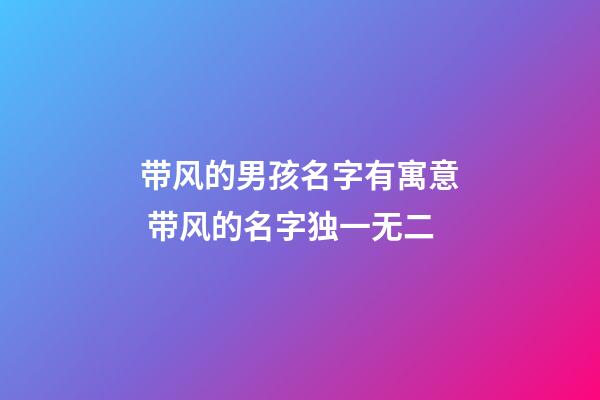 带风的男孩名字有寓意 带风的名字独一无二